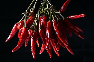 Chilistrauß