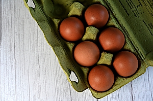 Eier