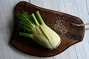 Fenchelknolle