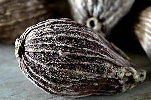 Schwarzer Kardamom
