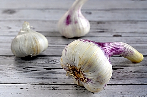 Knoblauch