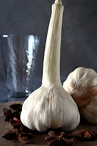 Knoblauch