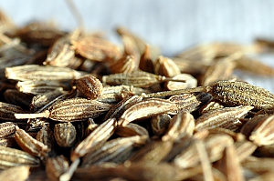 Kreuzkümmel