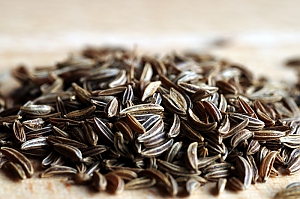 Kümmel