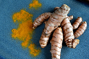 curcuma longa, Wurzel