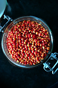 Rote Linsen