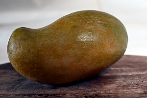 Wilde Mango (mangifera zeylanica)