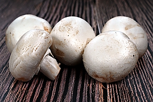 Champignon