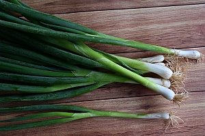 Frühlingszwiebel