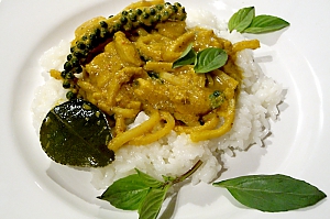 Gelbes Hühnercurry mit Pfeffer