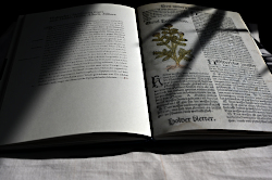 Auswahl Kochbücher